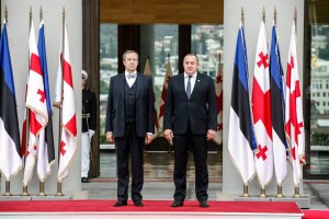 11165239_443055499196062_8850883465319111257_n