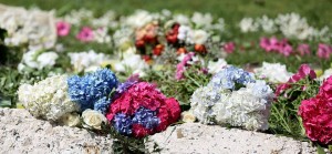 11212766_871385256285885_85483591421377704_n