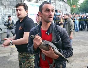 11216798_10204123804686990_6414509456232895998_n