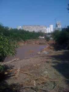 11224776_1857321204492164_5722534304284143195_n (1)