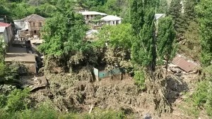 11243891_1003563503000968_1208356350_o