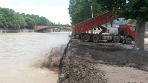 11245154_380537185485804_2056900480_o