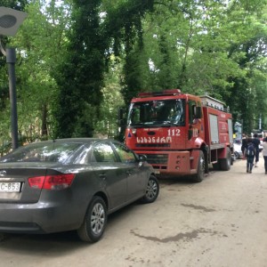 11263682_10205485015062474_1214782933_n