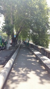 11269562_1141898989159423_2006268452_n