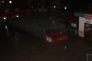 11273442_377588075780715_1001708842_n