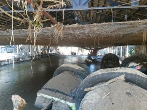 11281720_381733642032825_1961809256_n