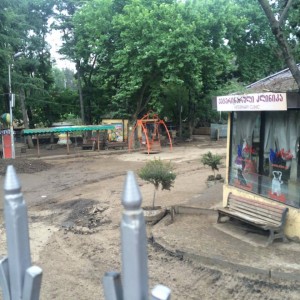 11292747_10153005752834779_1129445922_n