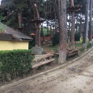 11293011_10153005752904779_1973396586_n