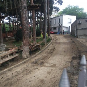 11297666_10153005752914779_1407435281_n