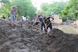 11297698_1003752909648694_53404313_n