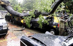 11304451_10204155699124331_521771581_n