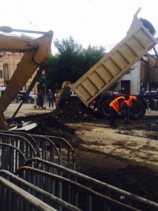 11336074_10205485089064324_482079326_n