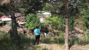 11347753_1003563403000978_1861067729_o