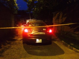 11350041_1136787686337220_493943876_n