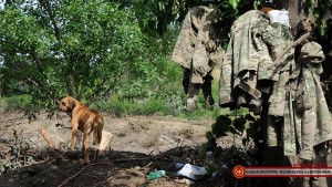 11401415_1004444806254928_1624937036256552098_n