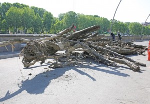 11403188_1119537091396223_2583353919593619796_n