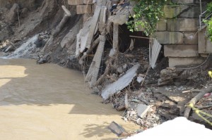 11407048_1857335234490761_6536489095943215095_n