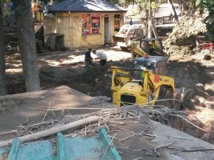 11414533_381733545366168_491164345_n