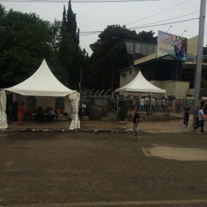 11418188_10153005752799779_397475983_n