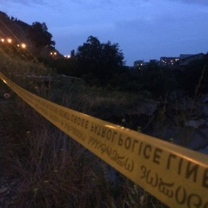 11418335_1136787283003927_1925262414_n