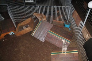 11422692_377588015780721_176264909_n