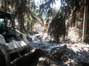 11425312_381733558699500_412865236_n