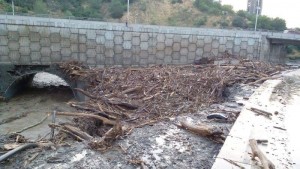 11425438_1108745962475336_4913902355661687721_n