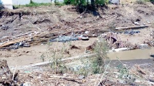 11427181_1014453155239488_4387524128478104571_n