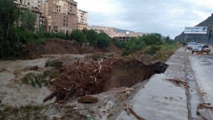 11427660_1108742112475721_6546923964805097966_n