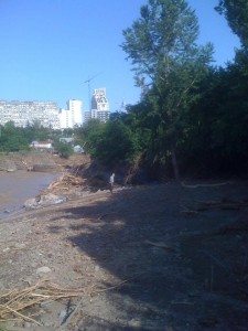 11427852_1857321217825496_6952681811079293063_n