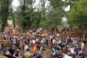 11428042_1109751192374813_4889340417497864113_n