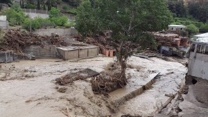 11428978_913558062021407_540480573_n