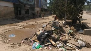 11429753_380537505485772_476135815_o