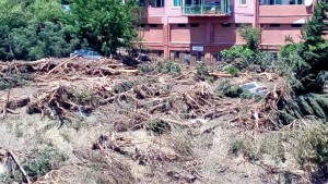 11535900_1014453008572836_5698633015471071015_n