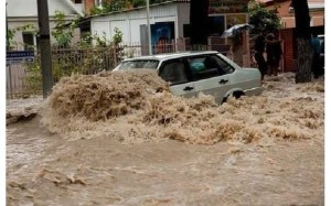 11541244_10204193942880401_1918155289_n