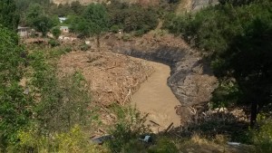 11542520_1003563513000967_1235349614_o