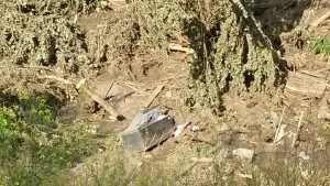 11638875_1003563439667641_874898212_o