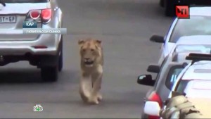 11639167_10204144514124713_338340684_o