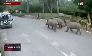 11639888_10204144514284717_1019399881_o