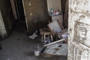 11647315_871021816280205_623206699_n