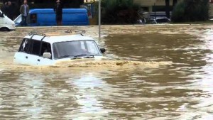 11649222_10204193943000404_575213013_o