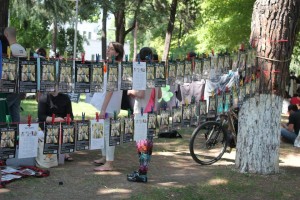 11650457_580022955471478_1369527746_n