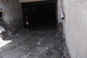 11650538_871021876280199_573952927_n