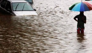 11650595_10204155699044329_899633858_n