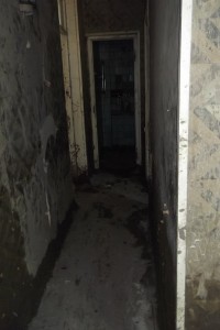 11650597_871021826280204_1602448253_n