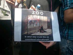 11650765_388470644681660_804431440_n