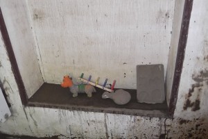 11650973_871021692946884_1750189661_n