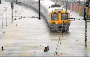 11651215_10204155699244334_1378555199_n