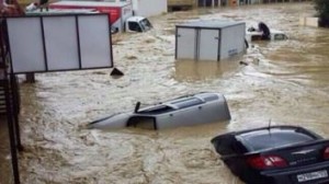 11651246_10204193942640395_253554785_n