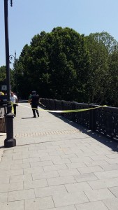 11652037_1141899042492751_532528683_n